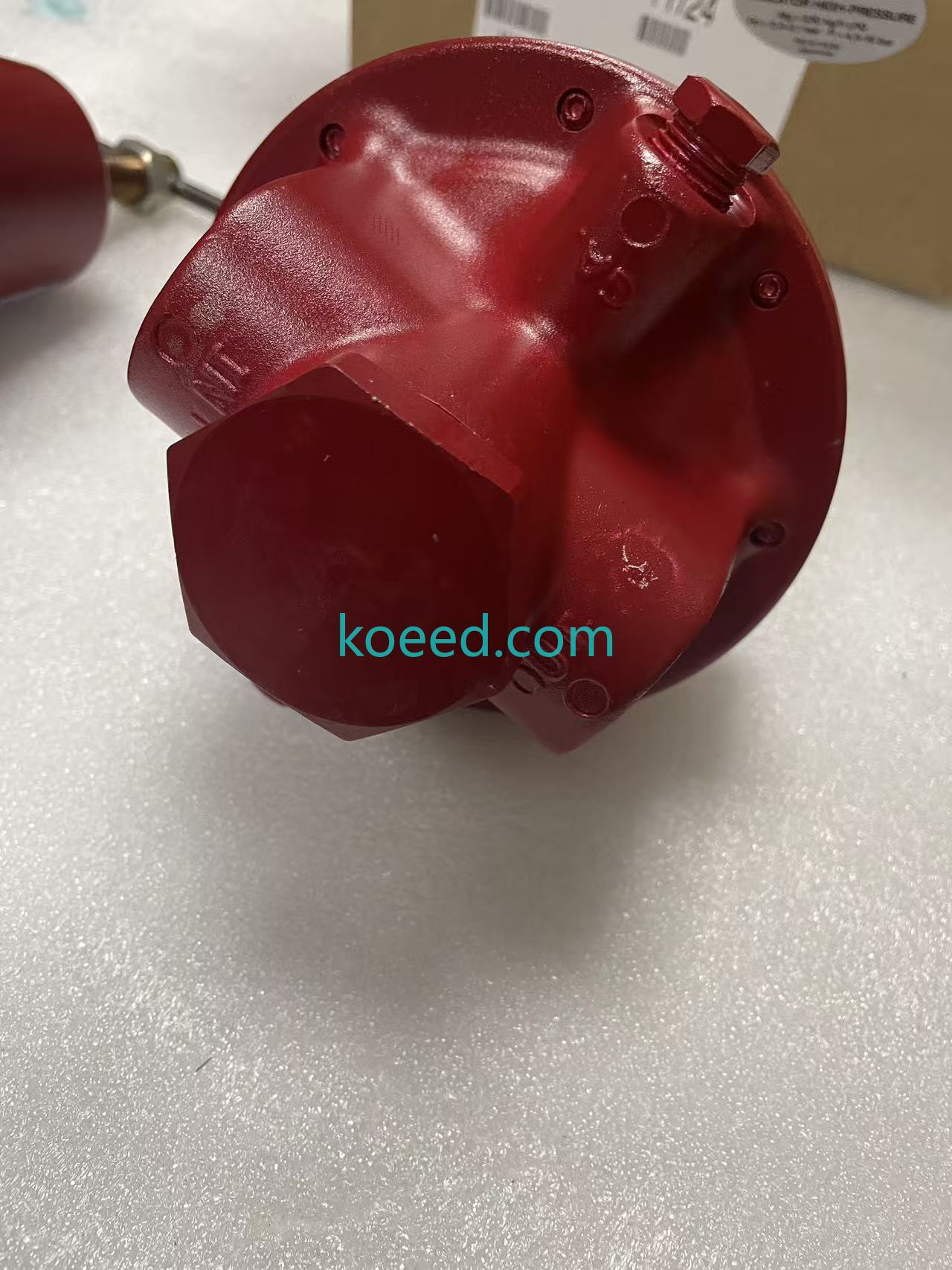 REGO 1588VN - Koeed Fashion View